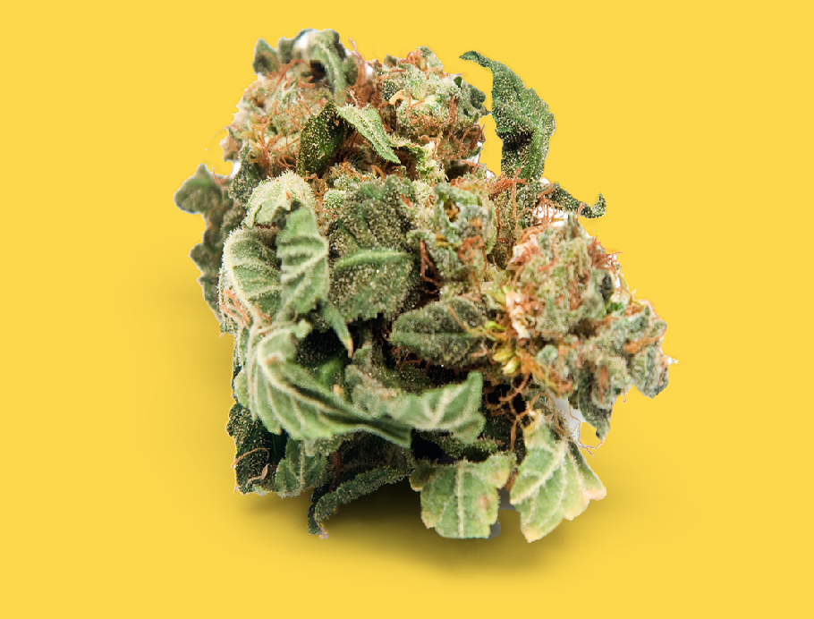 EasyJoint