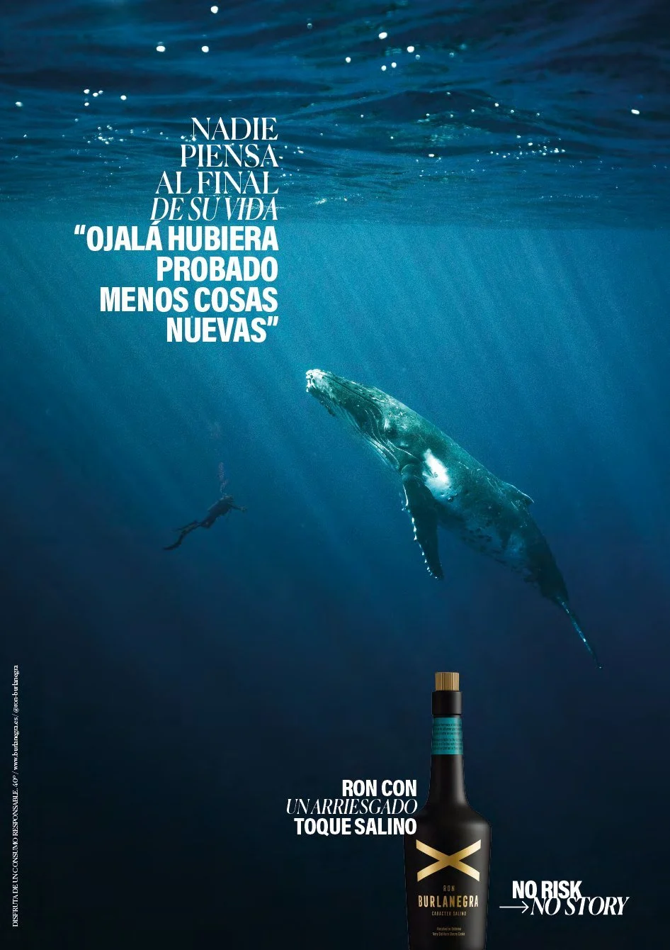 bn-cartel-3.jpg