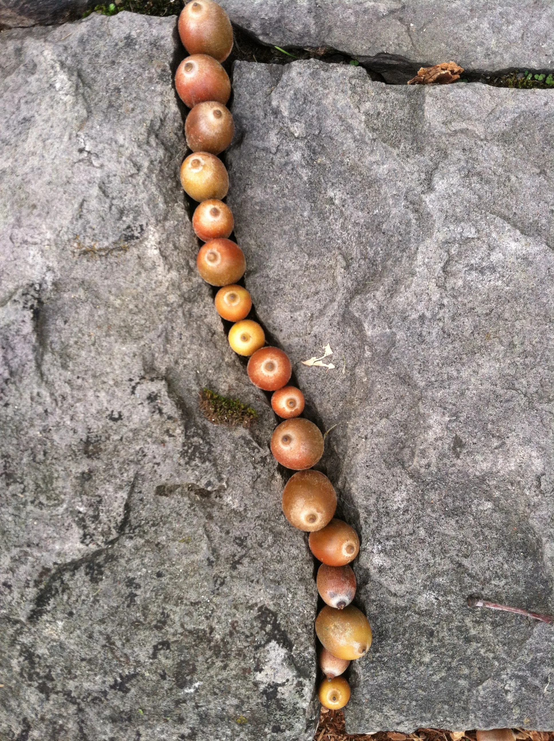 Making art in the park. Inspiration everywhere!