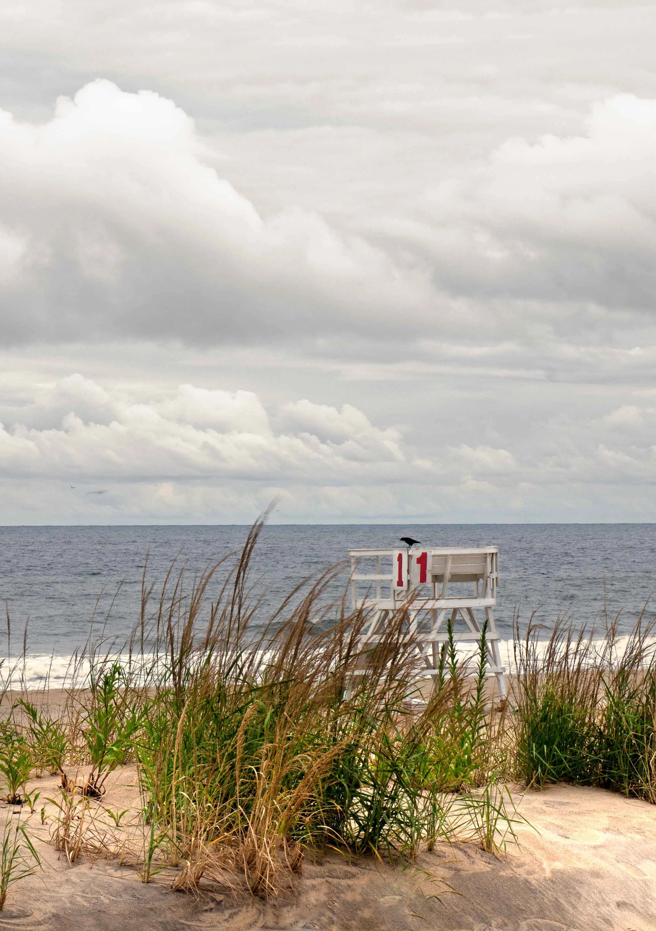 Sea Girt Shore 3