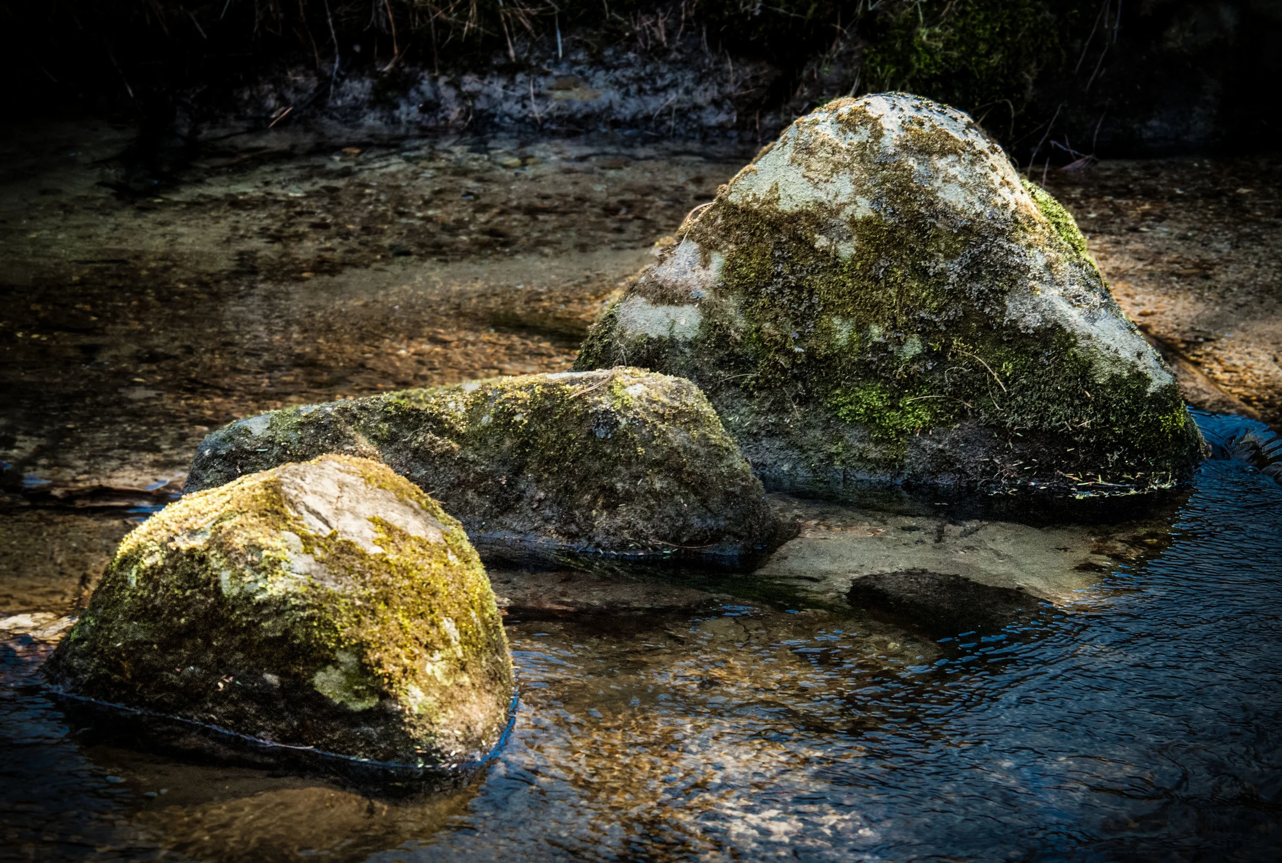  Mossy Rocks