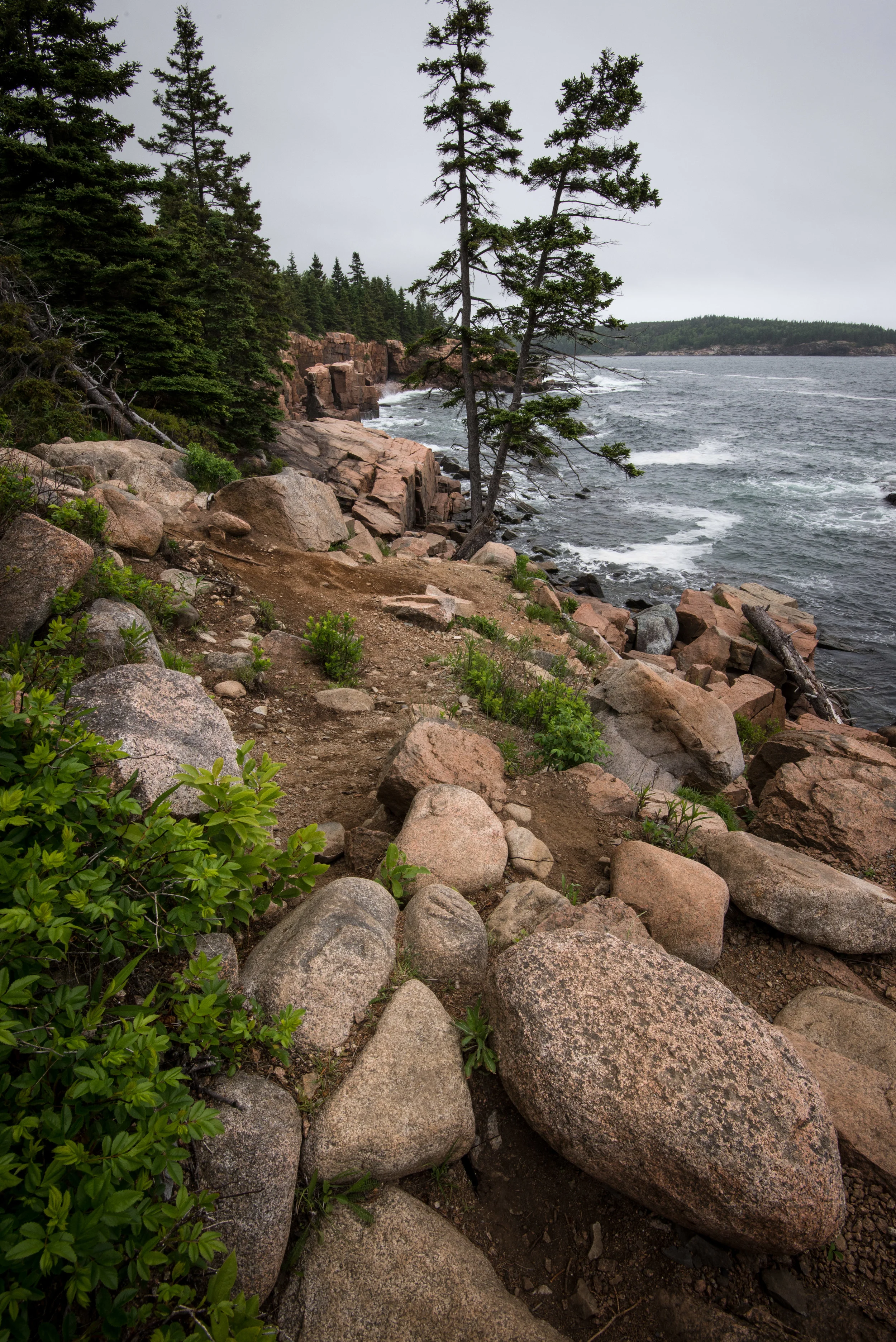 Trail by Thunder Hole