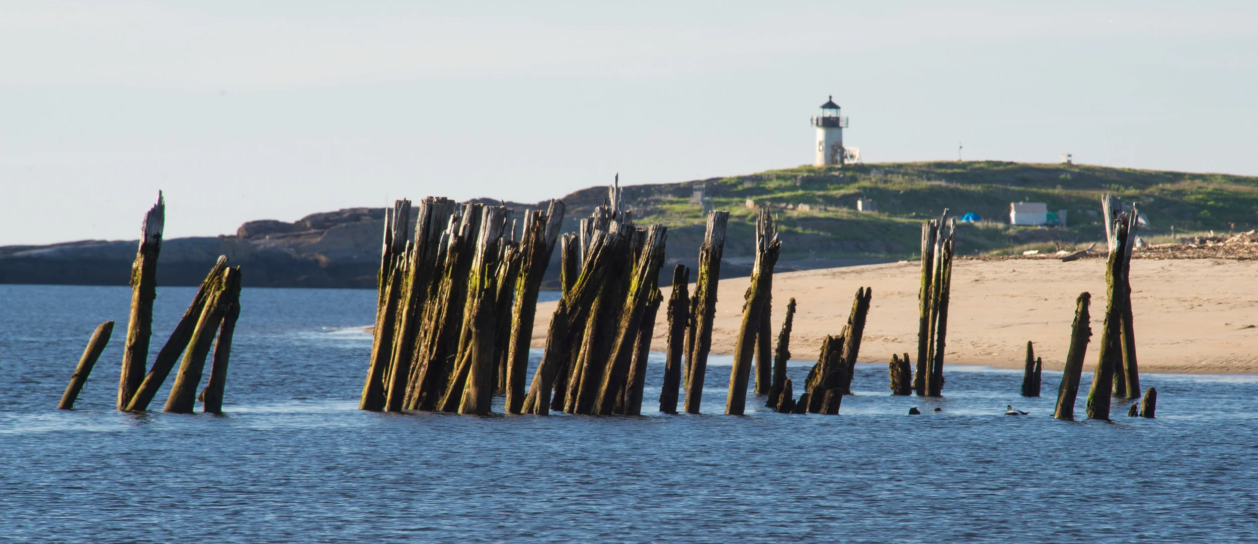 Pond Island Light