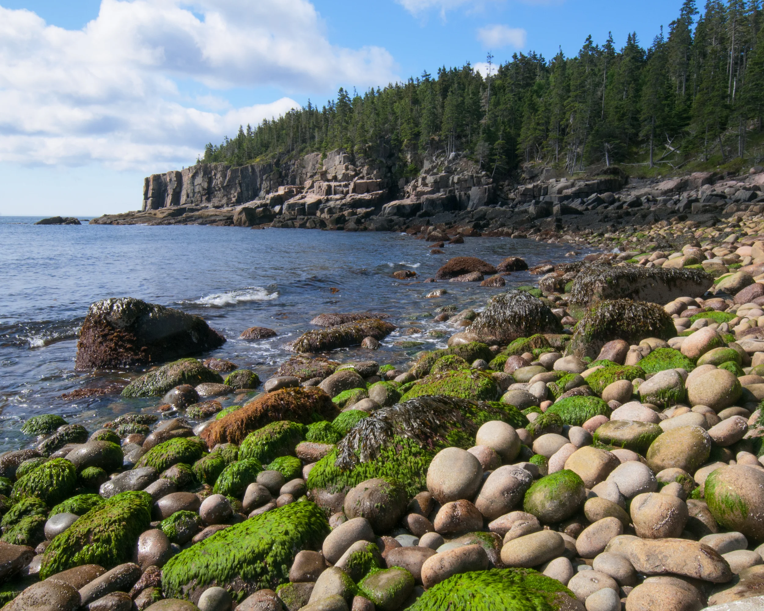 Boulder Beach 1