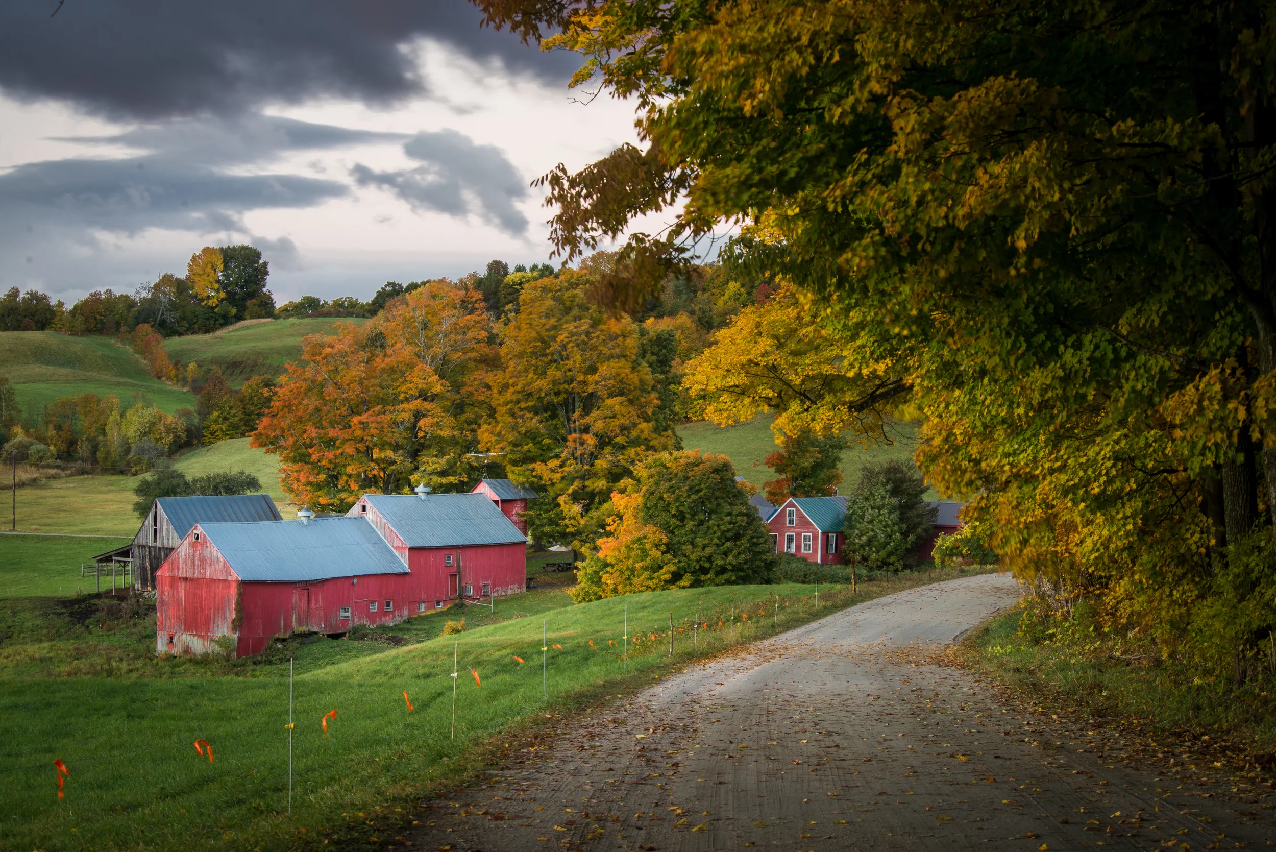 Vermont Farm in Autumn - 1