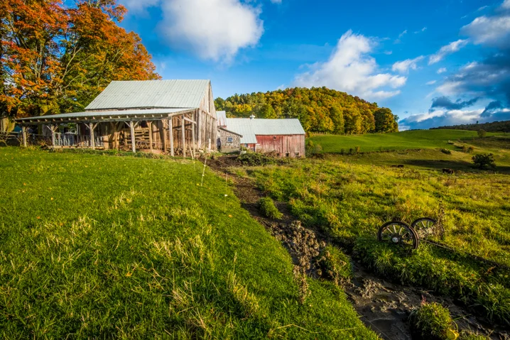 Vermont Farm in Autumn - 3