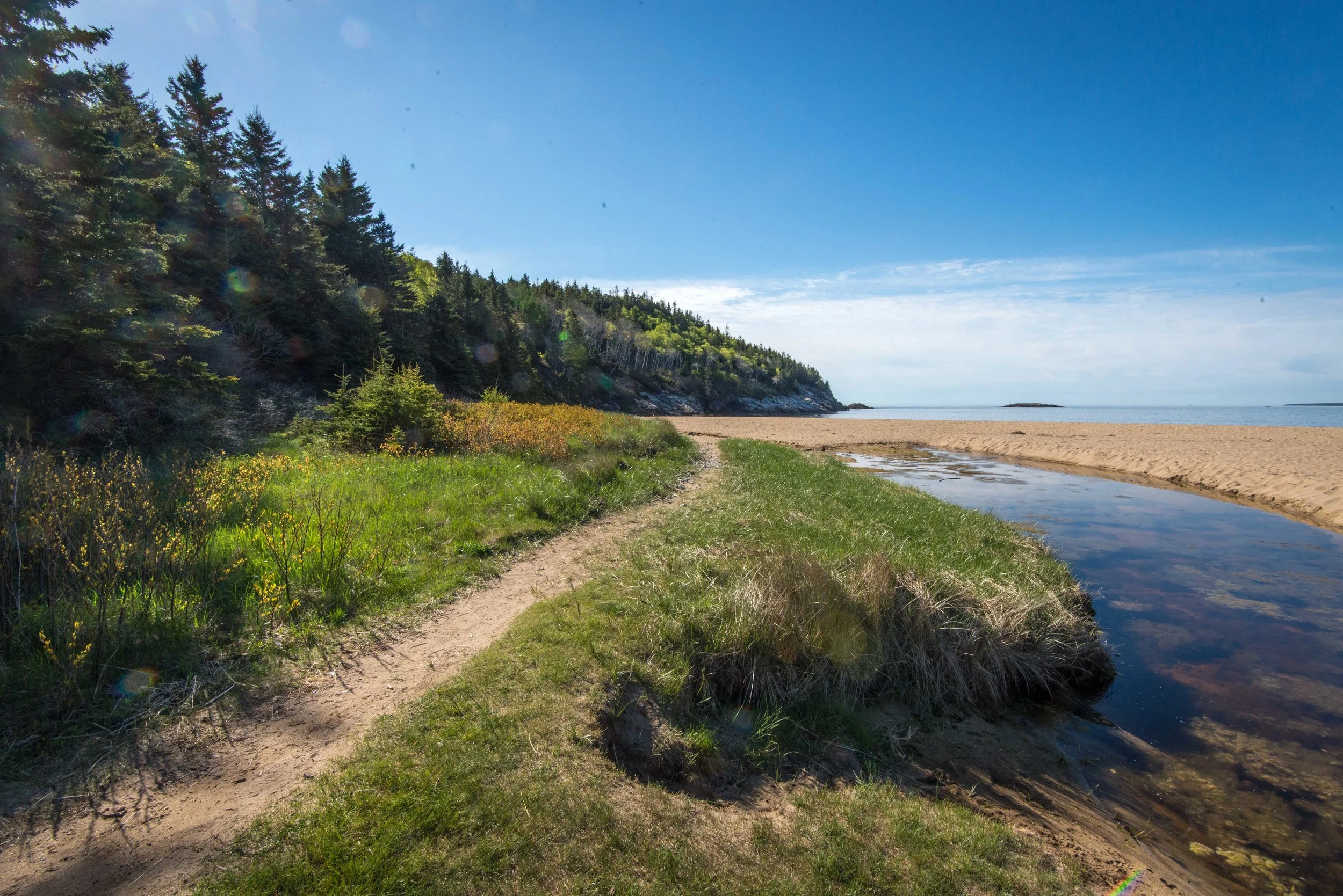 Sand Beach 5