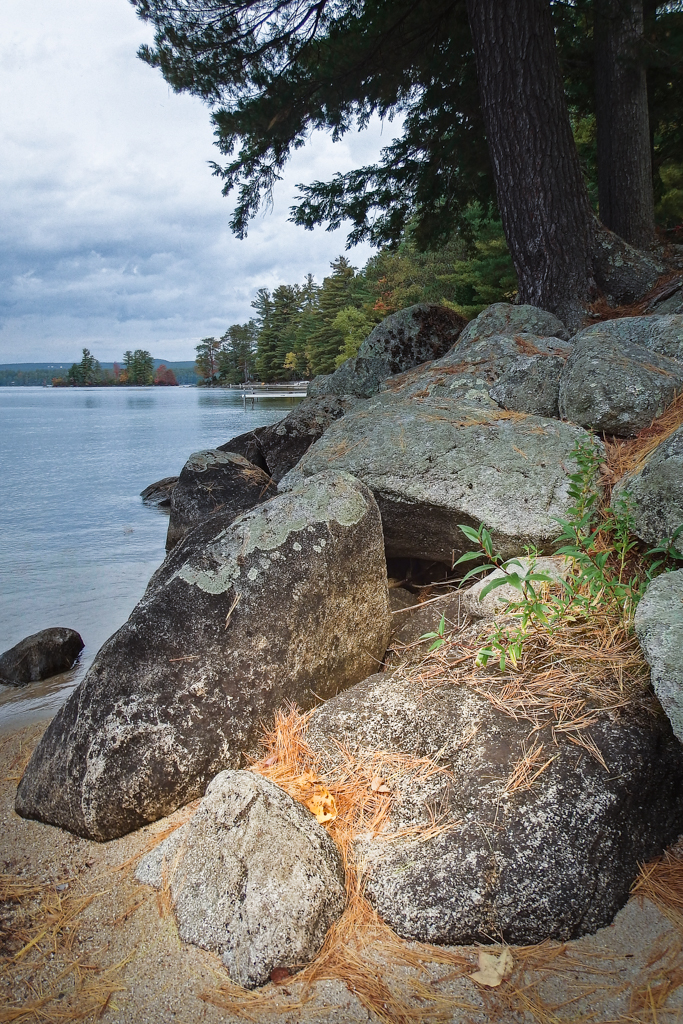 Point of Pines