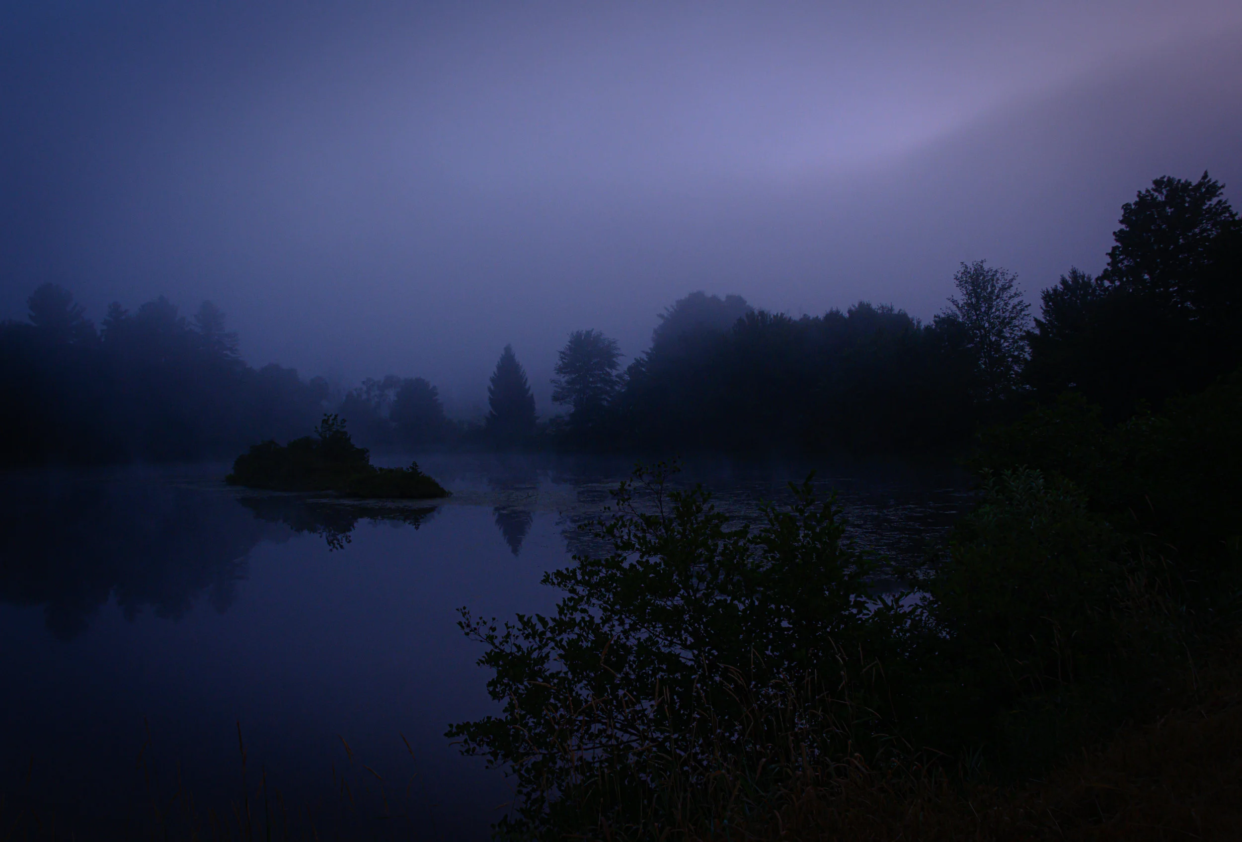 Morning Fog