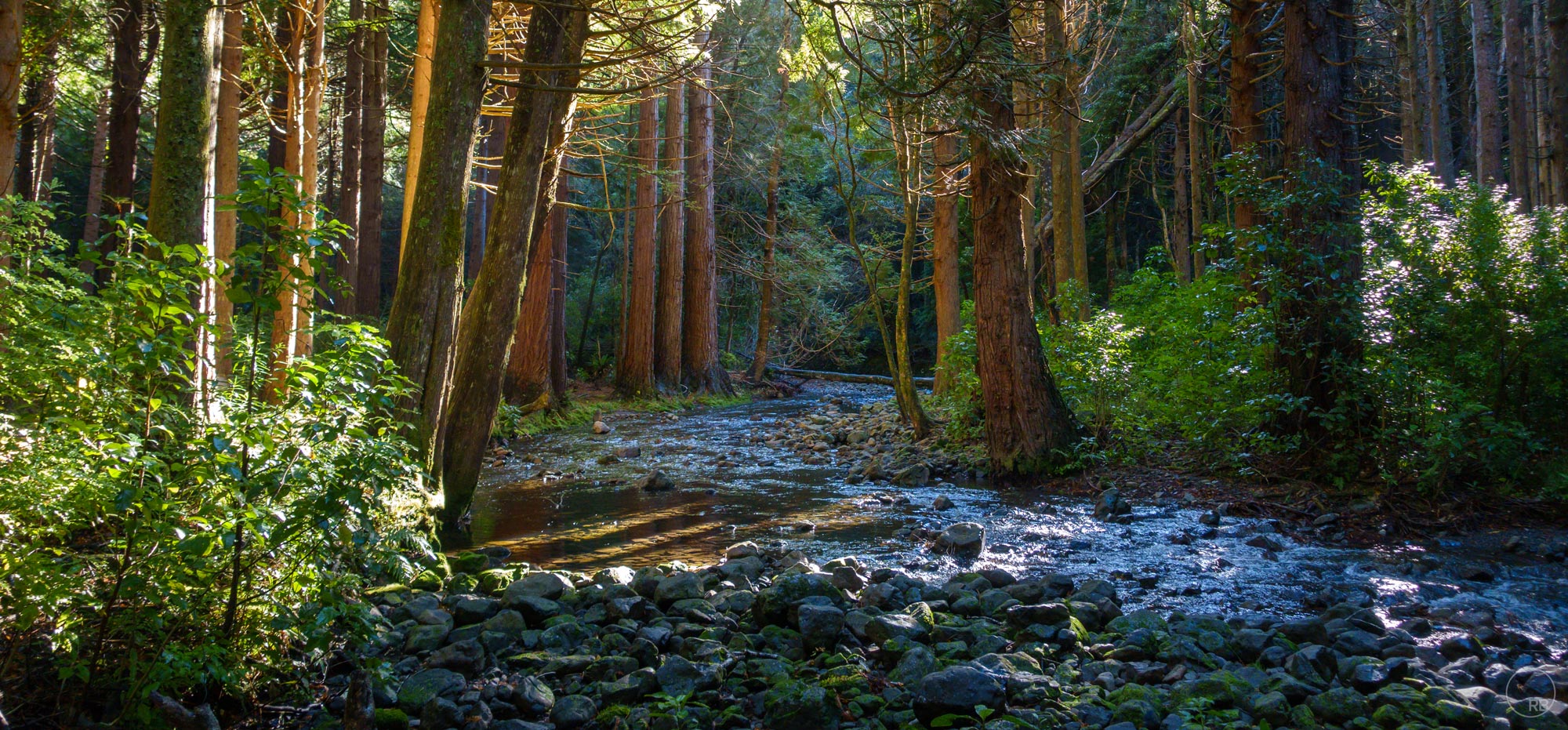 _DSC5834.jpg