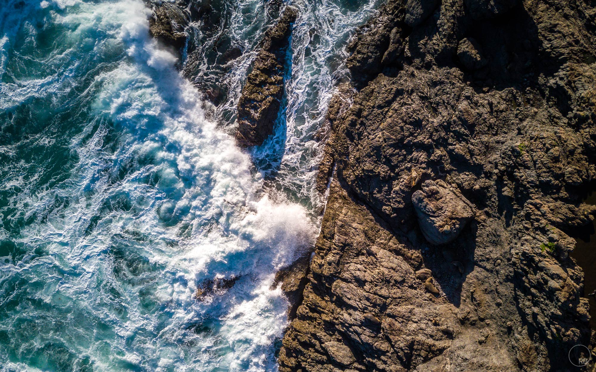 DJI_0113.jpg