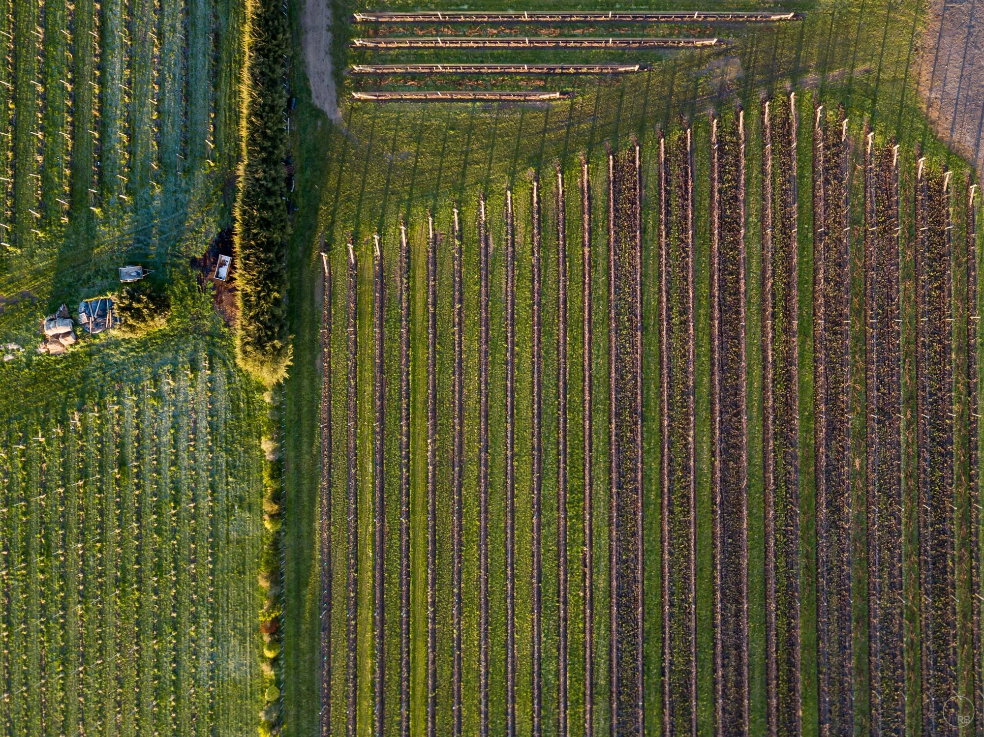 07_DJI_0901-HDR.jpg