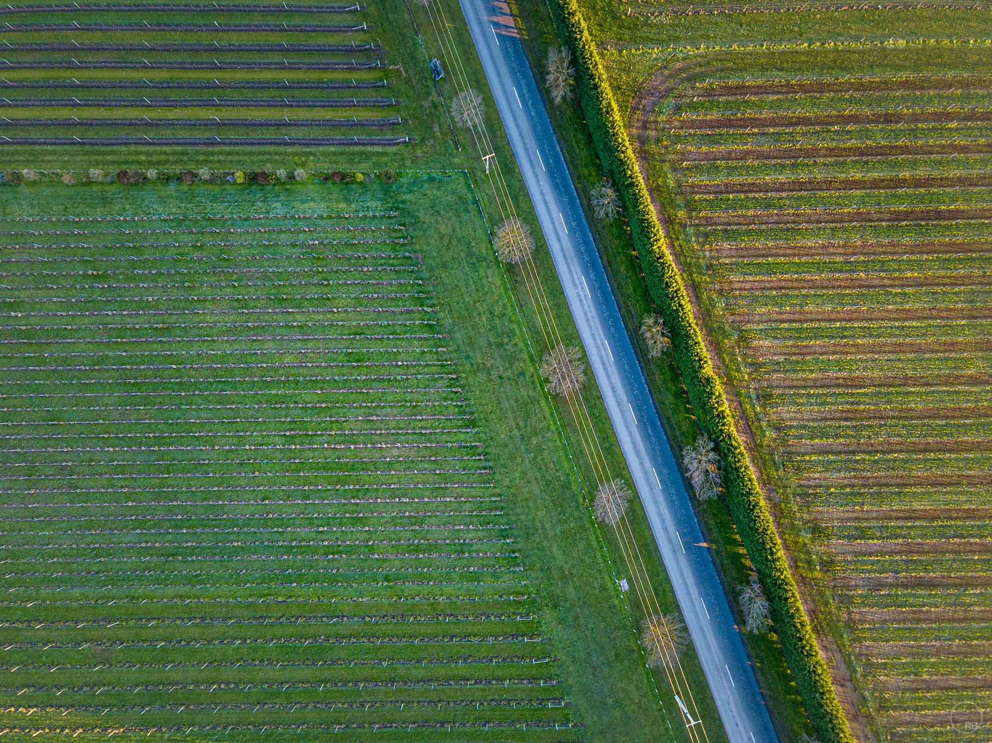 02_DJI_0841-HDR.jpg