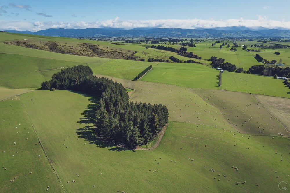 Last remaining holdouts.

#air2s #droneoftheday #dronepics #aerialphotography #djicreator #dji #instadrone #nz #landscapephotography #landscape #beautifuldestinations #wonderlustnewzealand #beautifulnewzealand #earthpixnz #travel #ig_newzealand #trav