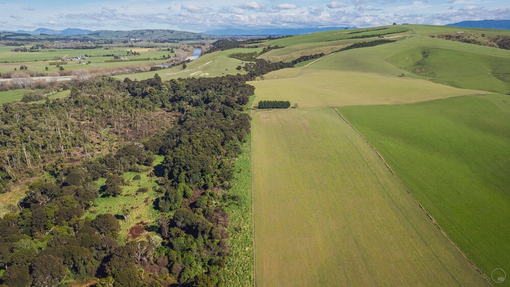 Native Bush | Rural New Zealand

#air2s #droneoftheday #dronepics #aerialphotography #djicreator #dji #instadrone #nz #landscapephotography #landscape #beautifuldestinations #wonderlustnewzealand #beautifulnewzealand #earthpixnz #travel #ig_newzealan