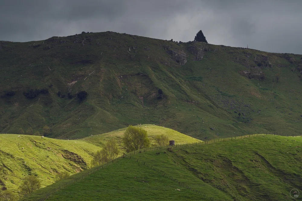 #sonya7riii #sonynz #nz #bealpha #photography #beautifuldestinations #wairarapa #wonderlustnewzealand #beautifulnewzealand #earthpixnz #travel #ig_newzealand #ig_nz #travelphotography #destinationnz #instatravel #nzmustdo #newzealand #kiwipics #captu