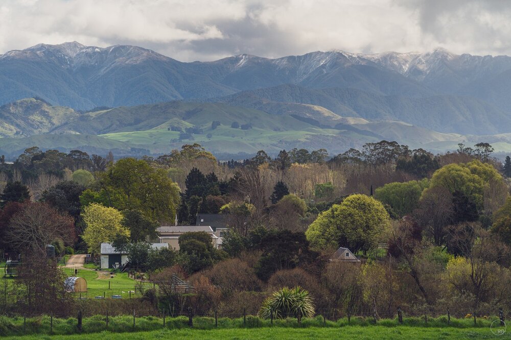 Local Backdrop.

#sonya7riii #sonynz #nz #bealpha #photography #beautifuldestinations #wairarapa #tararuaranges #wonderlustnewzealand #beautifulnewzealand #earthpixnz #travel #ig_newzealand #ig_nz #travelphotography #destinationnz #instatravel #nzmus