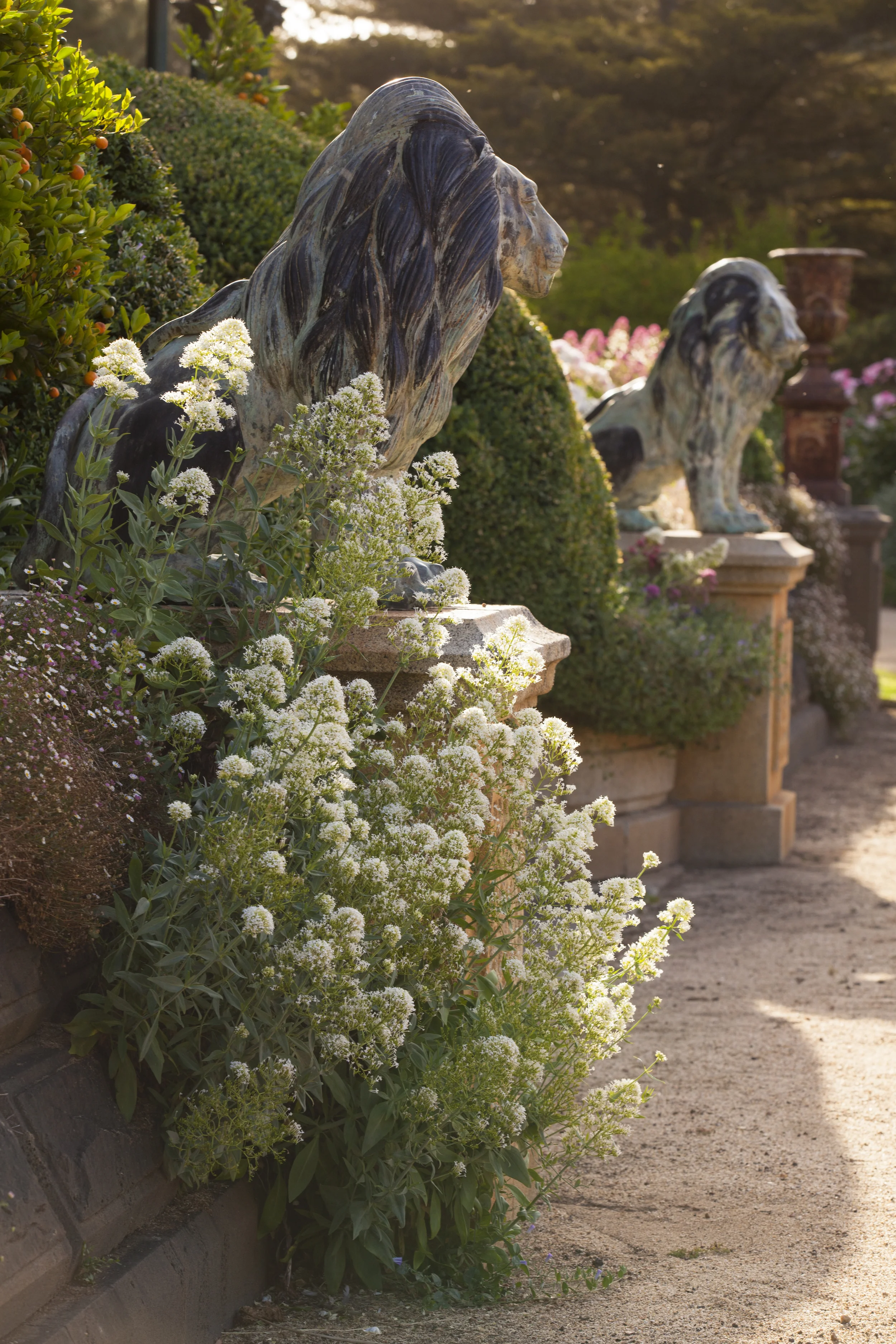 Chatsworth-58.jpg