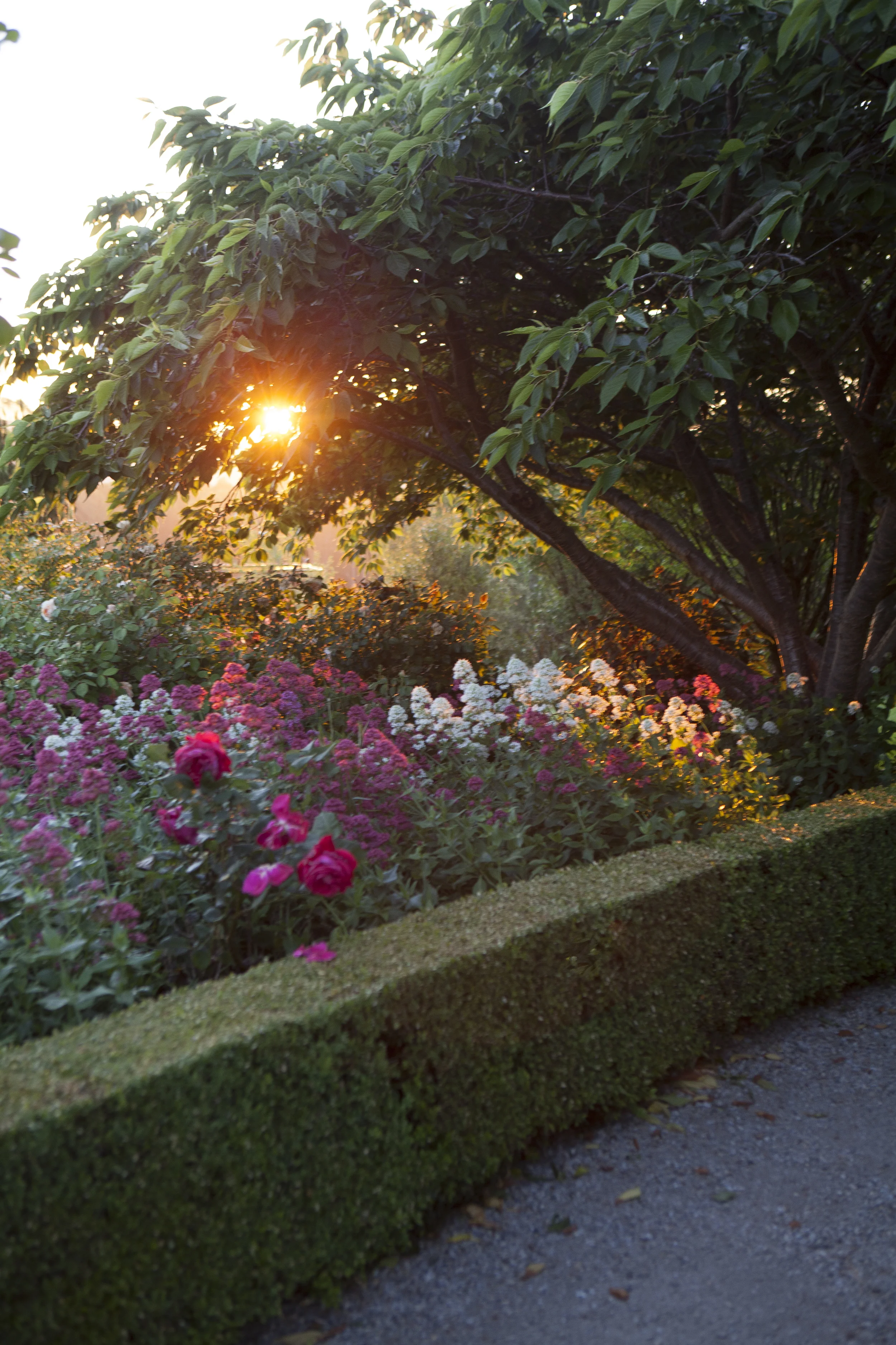 Broughton Hall -Jindivick-112.jpg