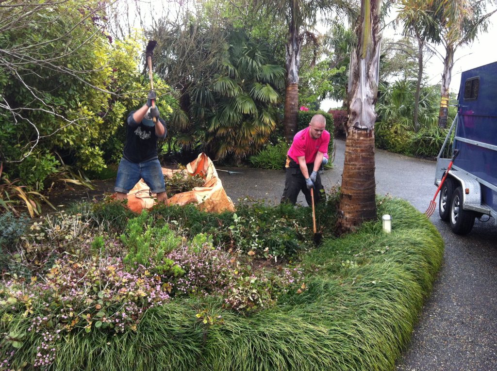 View client testimonials