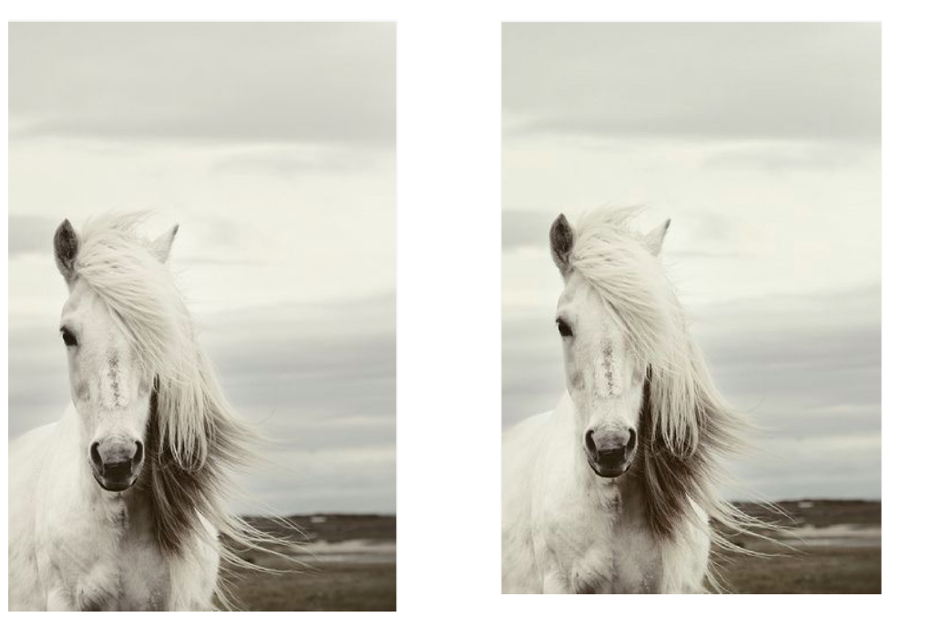 Squaready example L: Before R: After- ratio in tact with a lovely white border (artist unknown)