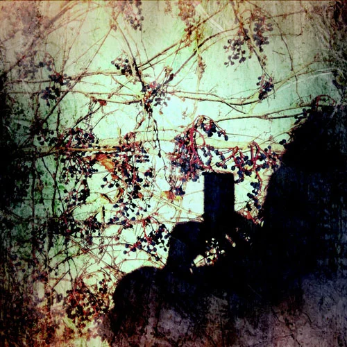Self Portrait in Shadow