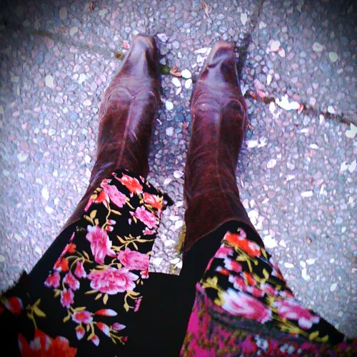 iPhone photography: petal safari