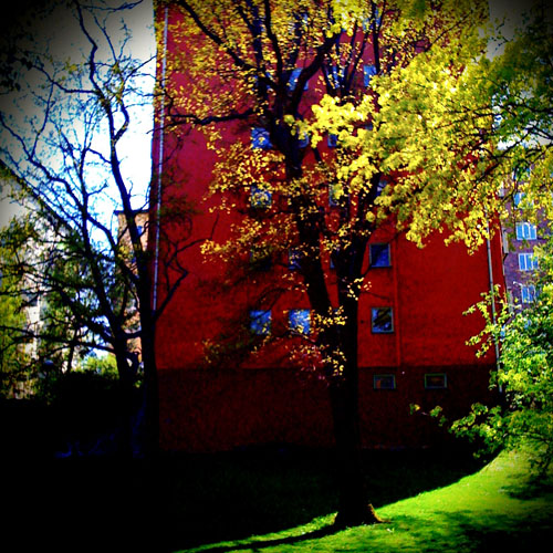 red-building-leaves.jpg