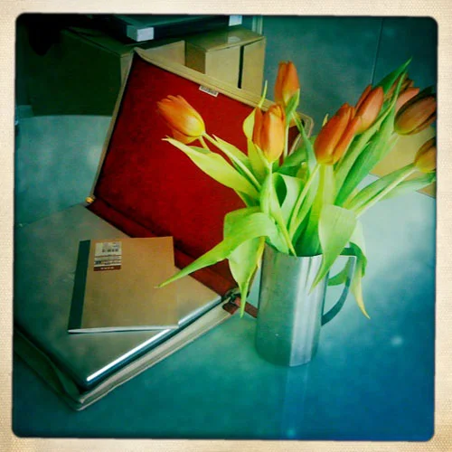 iPhone photography: Laptop and tulips
