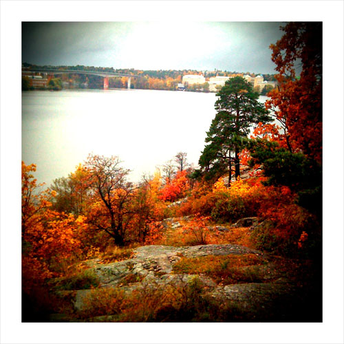 autumnlandscape1.jpg