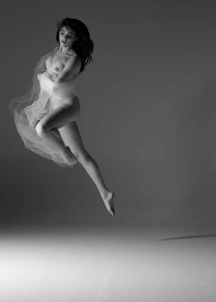 Ariel 20121229 -659.jpg