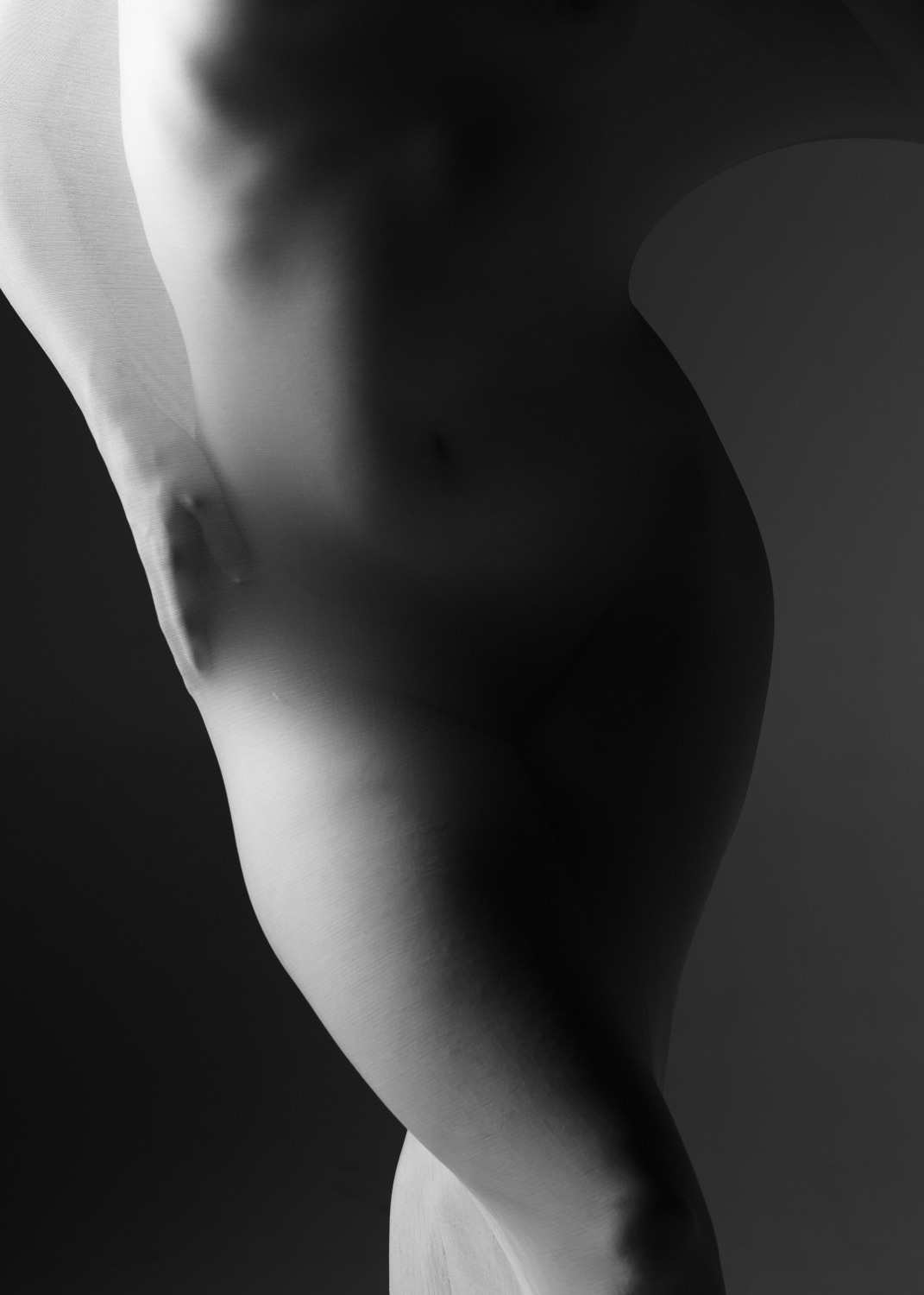 Cocoon #165