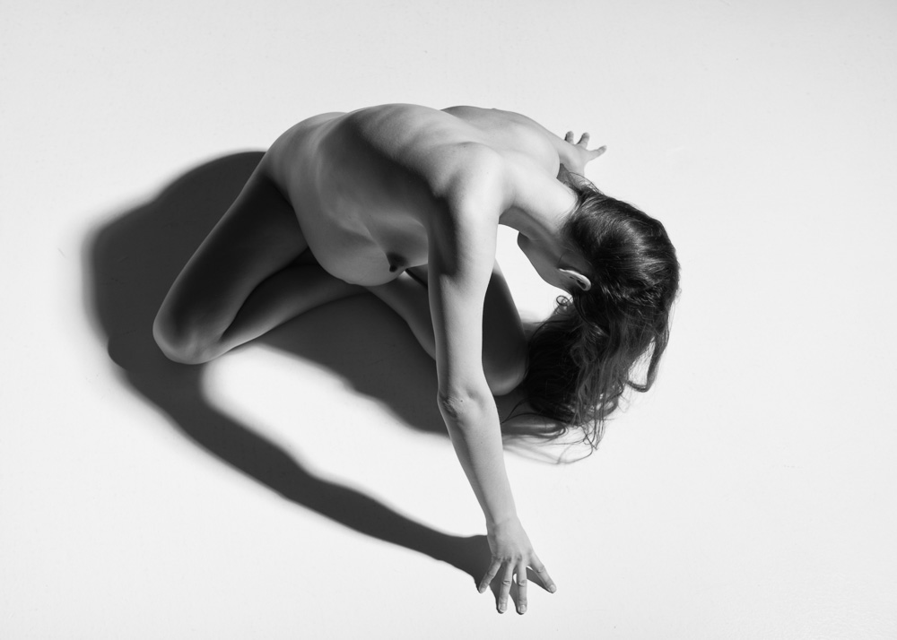 Shadow #85