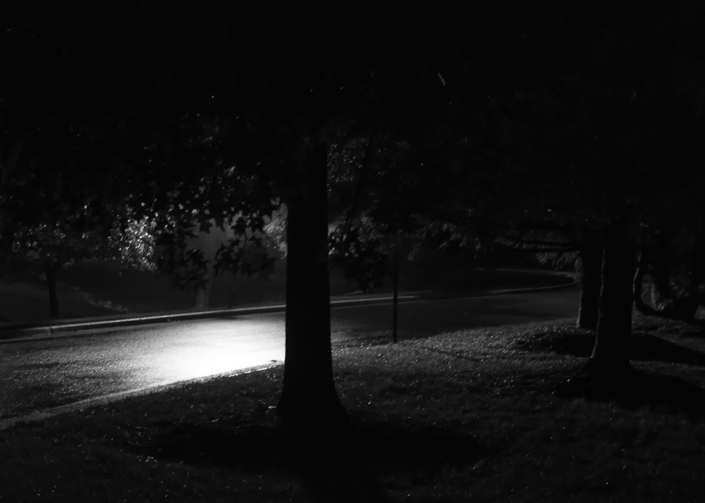 McCollum Night Walk -2.jpg