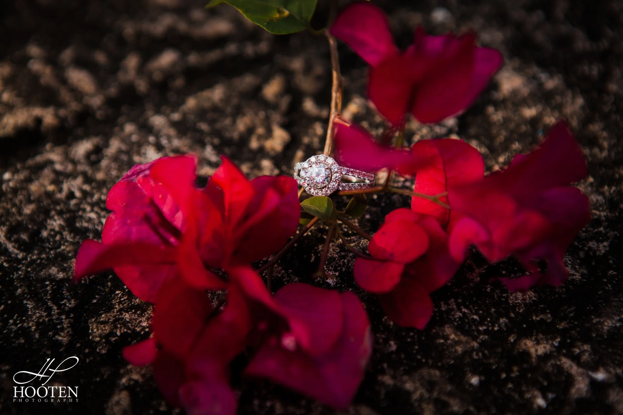 Hooten Photography-6298.jpg