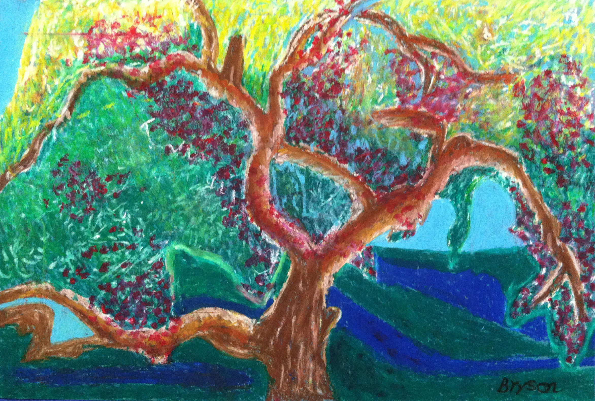 Bryson_Tree.jpg