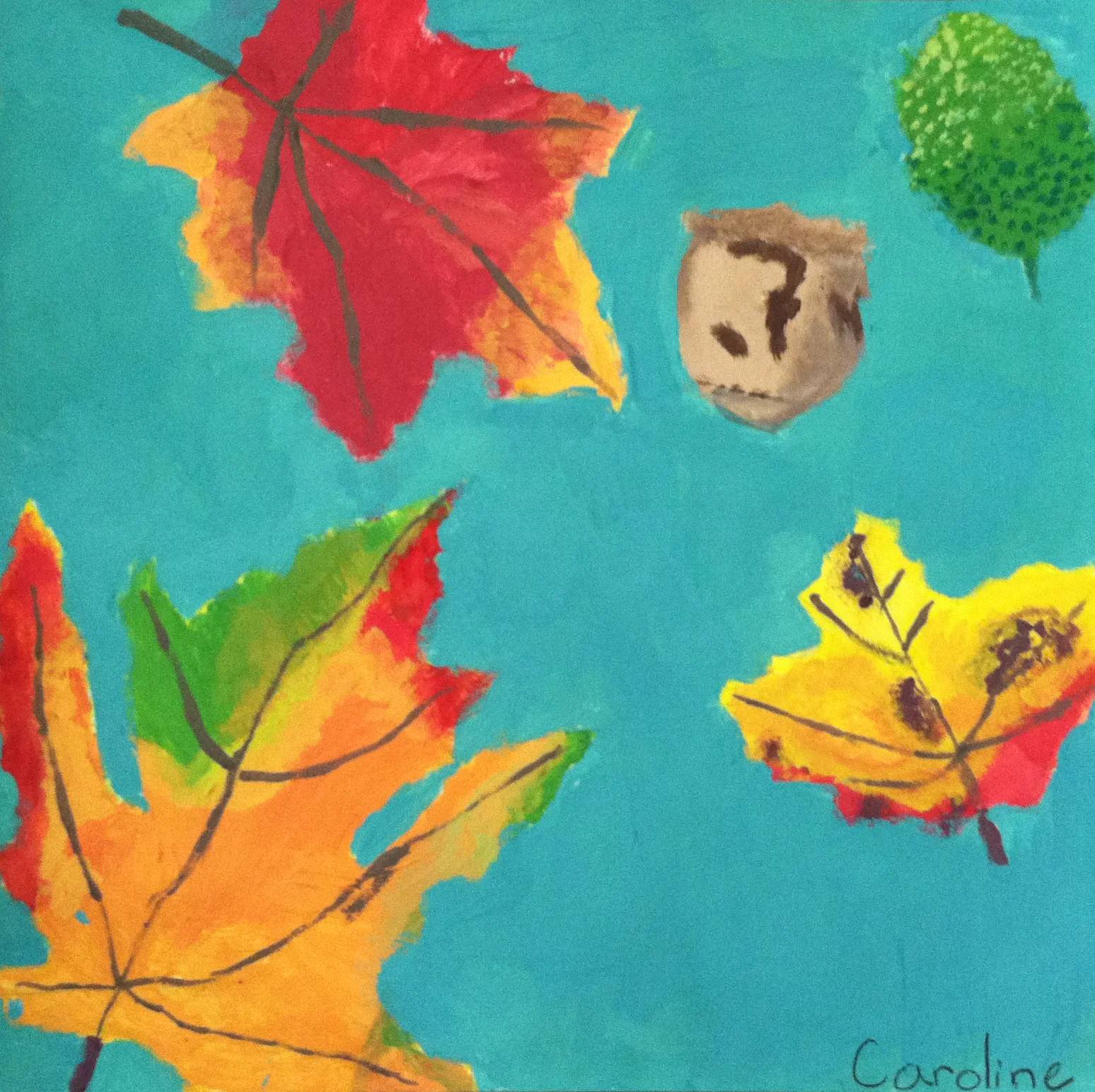 Observational Study of Leaves, Age 7
