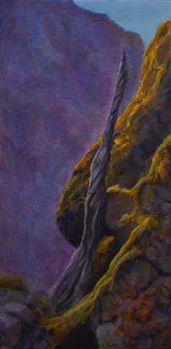 Cave and Basin