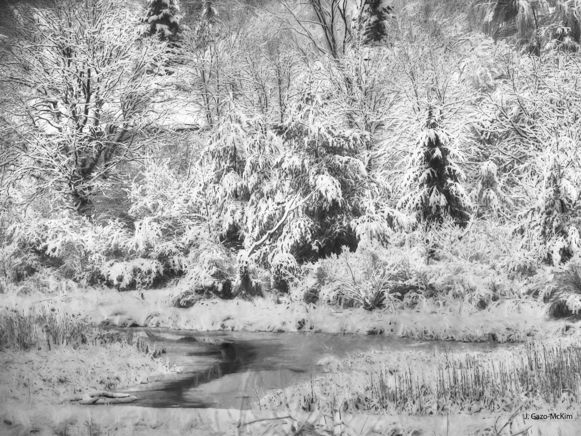 Winter's-Grip-1500px.jpg
