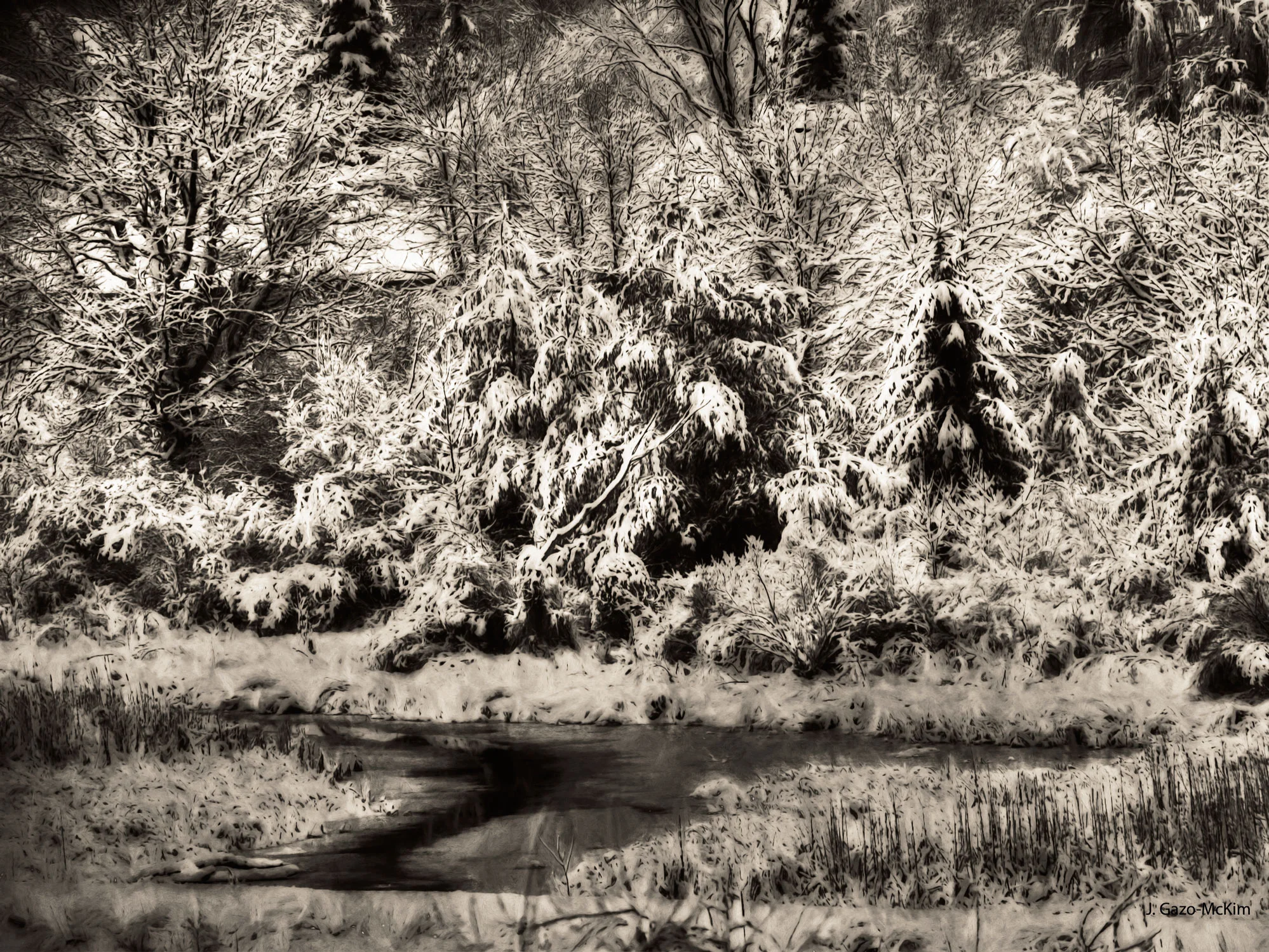 Winter's-Sepia-Grip-1500px.jpg