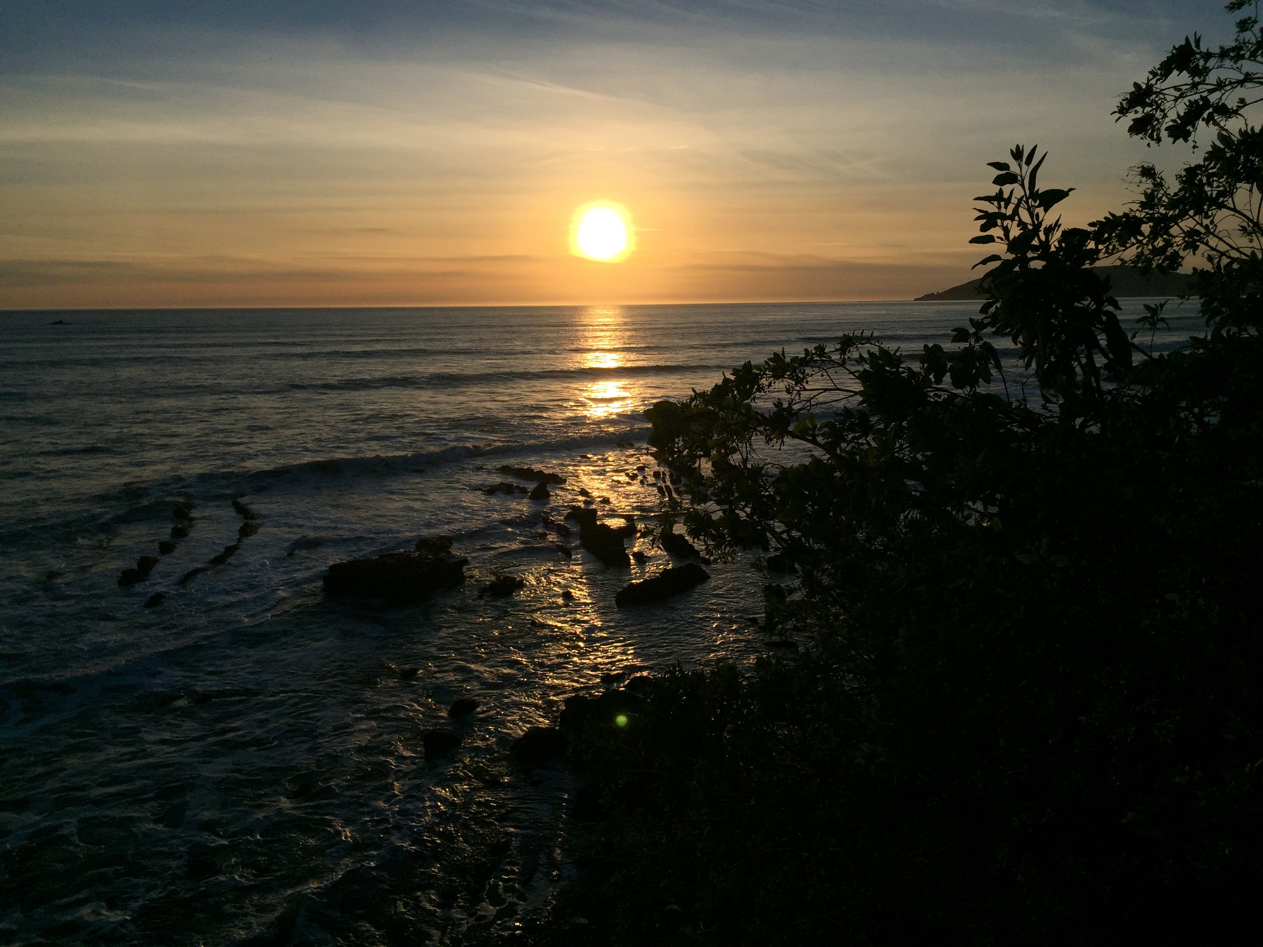 Shell Beach California