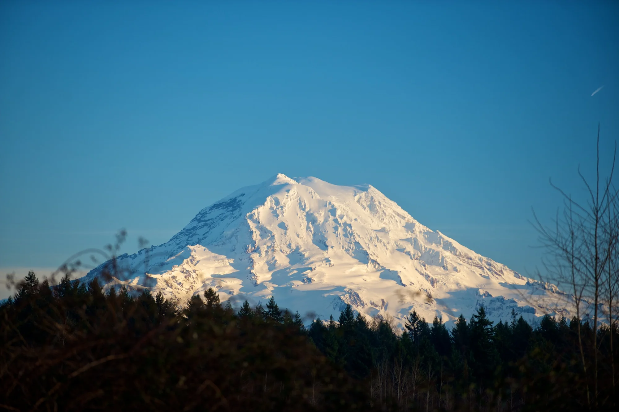 _DSC5016.jpg
