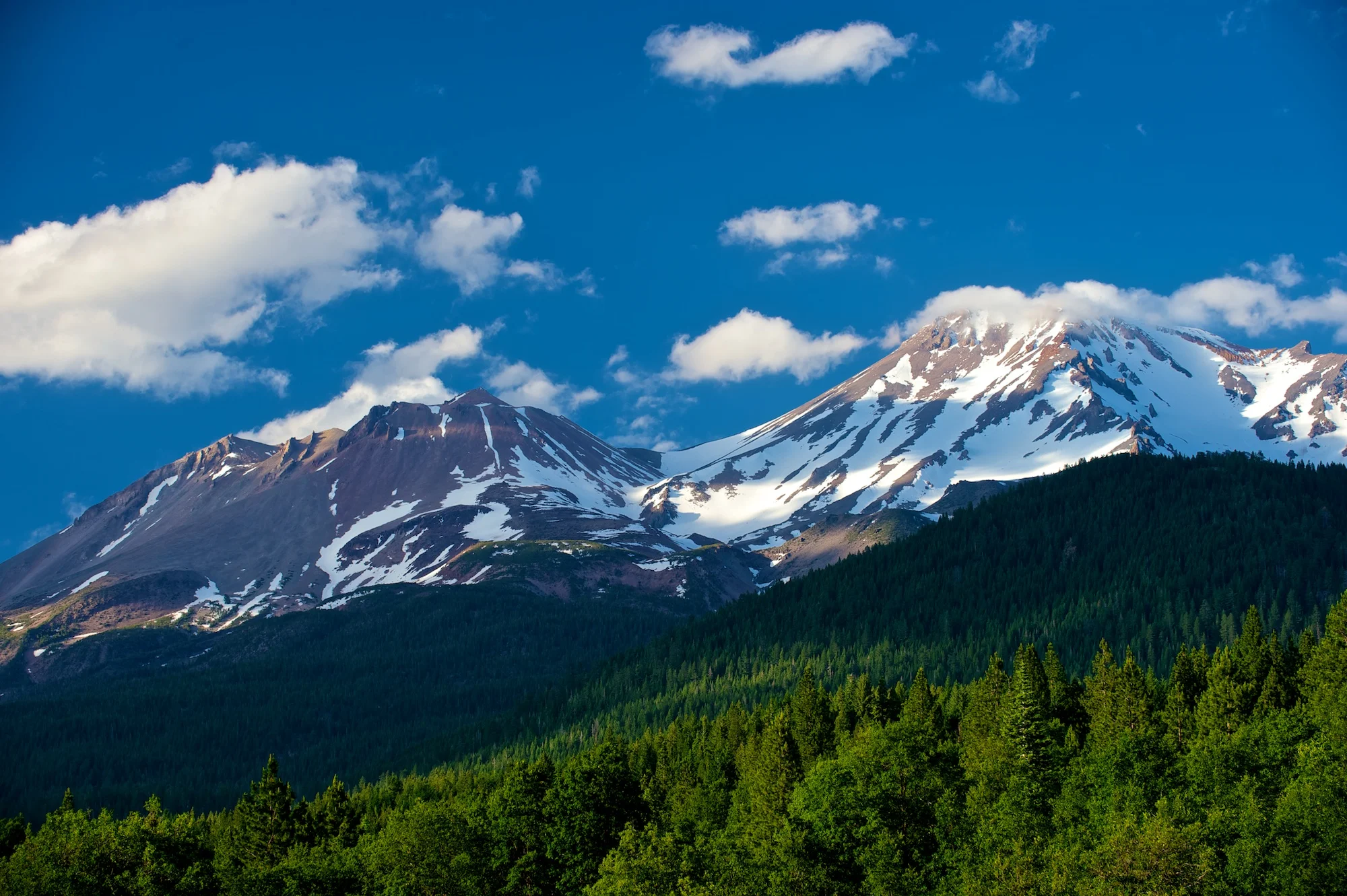 _DSC5481.jpg
