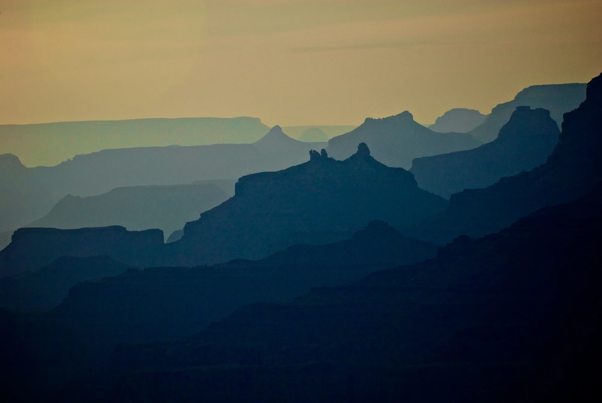 _DSC7374.jpg