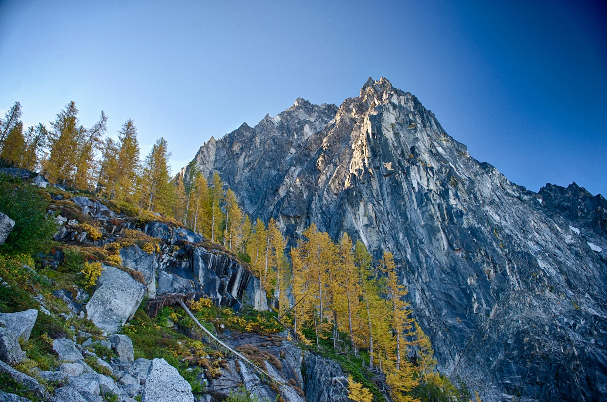 _DSC7567_HDR.jpg