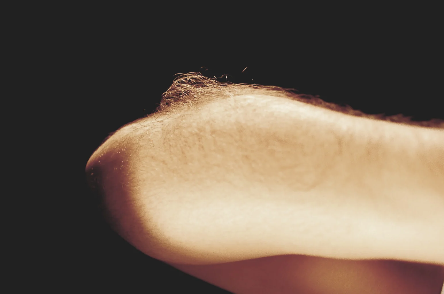 Please consider supporting our project for $6 and see more photos from our Pearly feature.