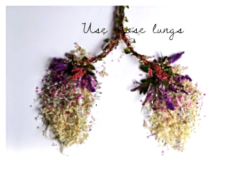 lungs.png