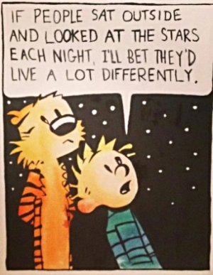 calvin and hobbs.jpg