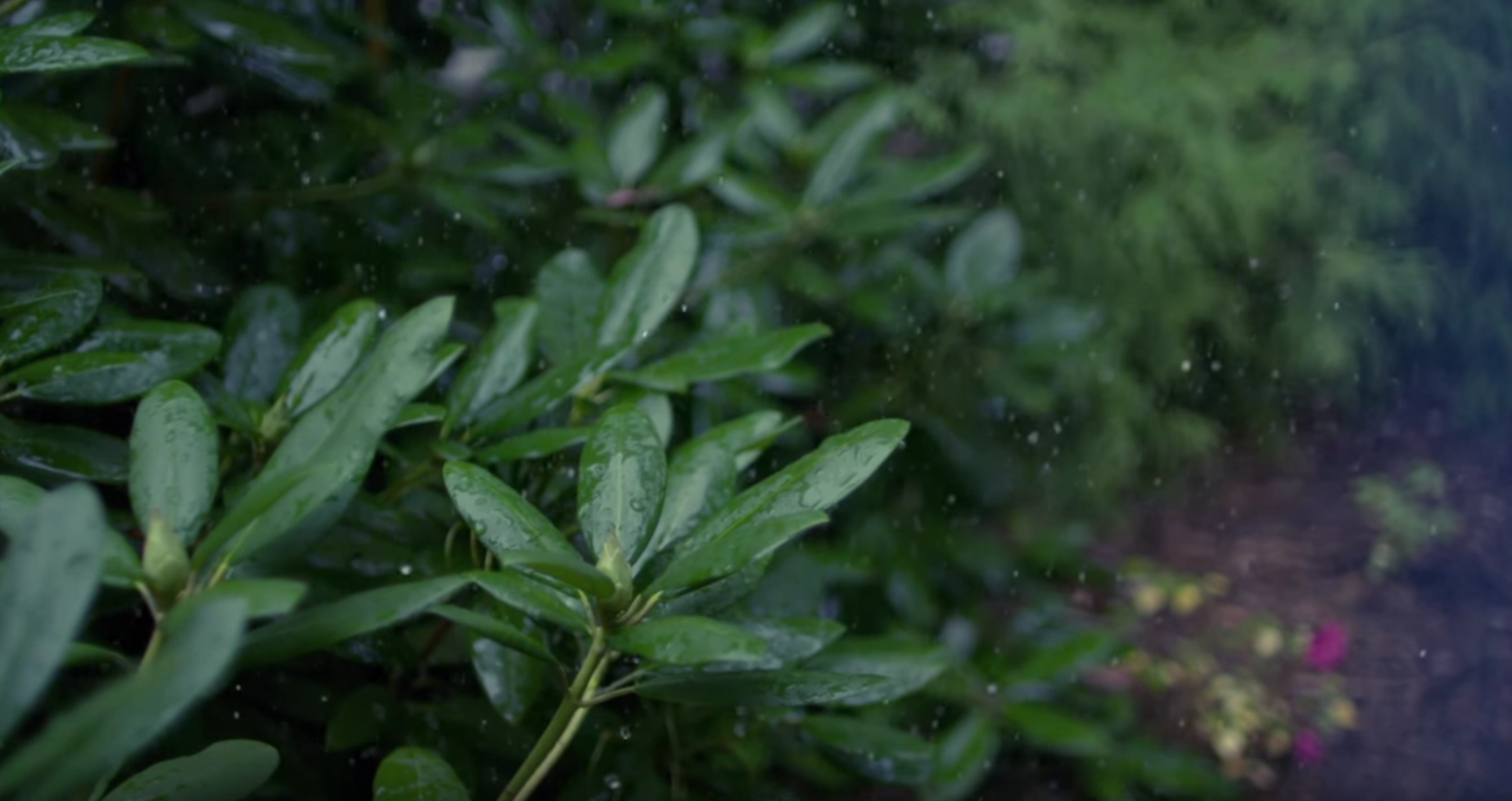 Mindfulness BEFORE Movement