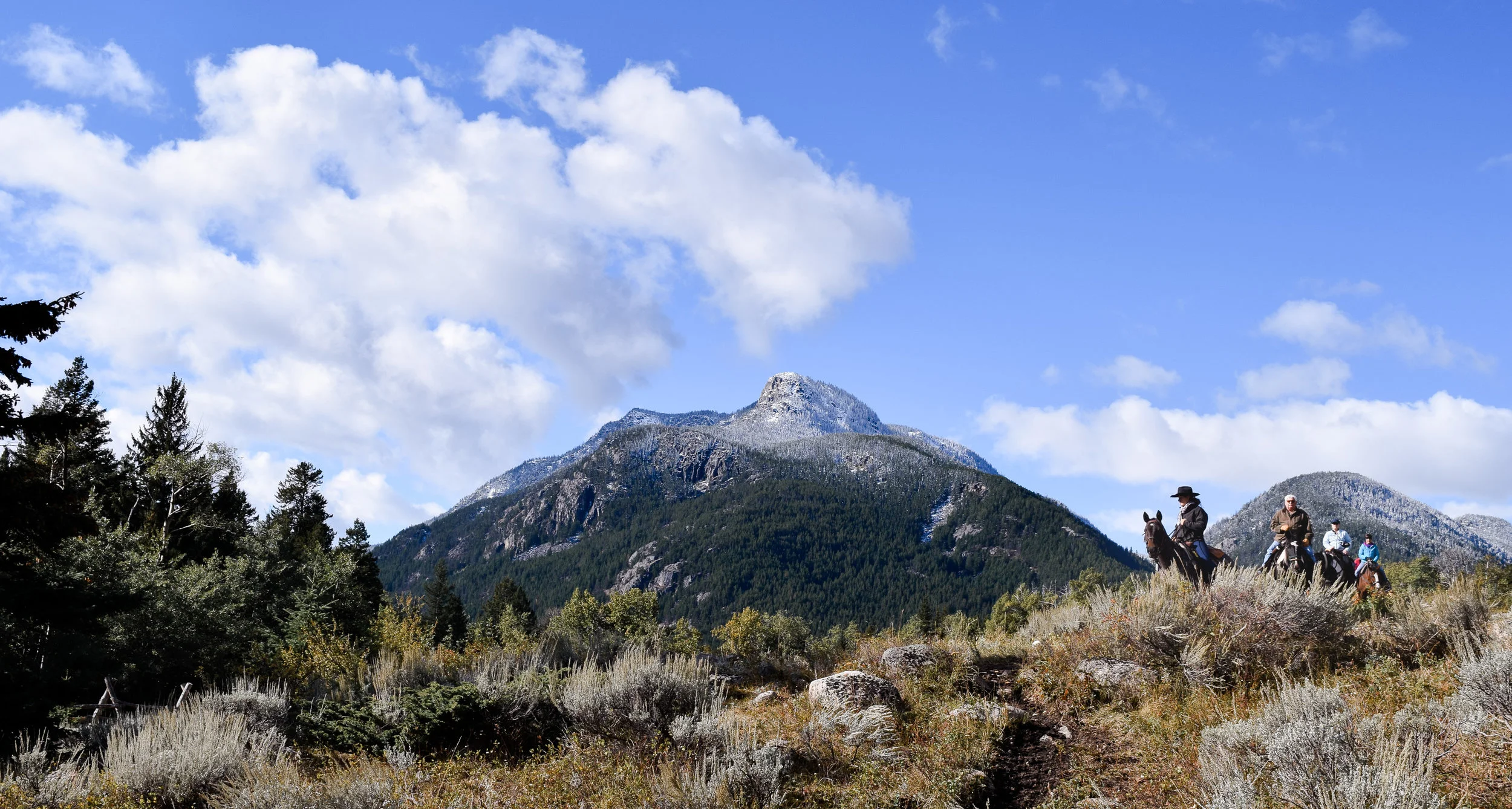 DSC_0054.jpg